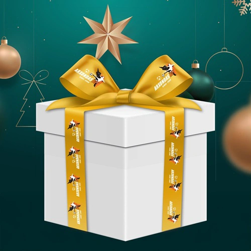 gift_box_500x500_arxondasbet_xmas.jpg