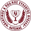 Θύελλα Κατσικάς